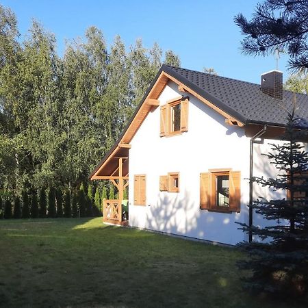 Domek Caloroczny Nad Jeziorem Budzislawskim, Wielkopolska Na Wynajem Anastazewo Buitenkant foto