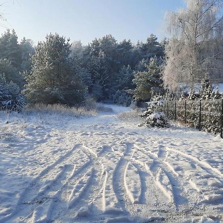 Domek Caloroczny Nad Jeziorem Budzislawskim, Wielkopolska Na Wynajem Anastazewo Buitenkant foto