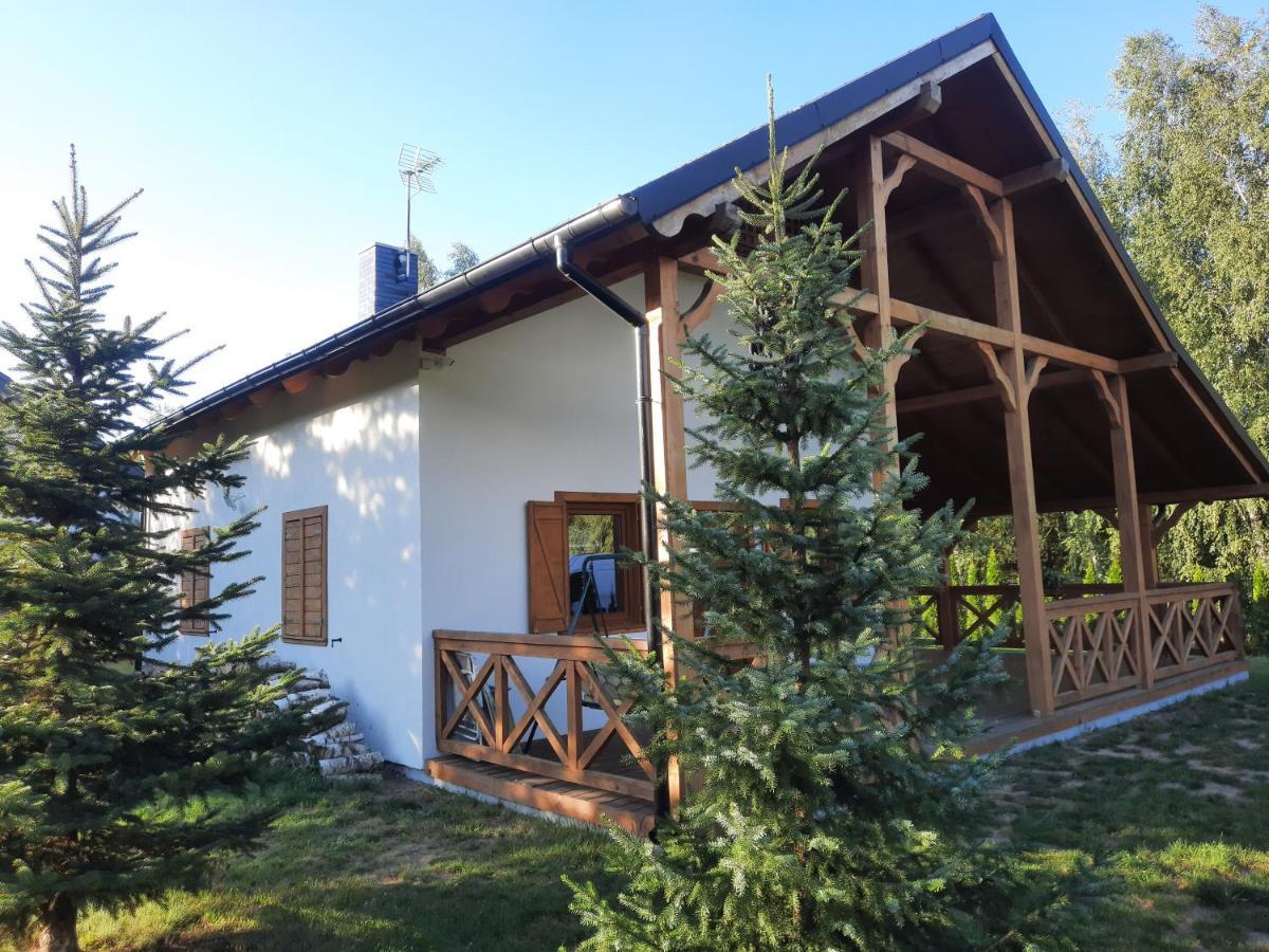 Domek Caloroczny Nad Jeziorem Budzislawskim, Wielkopolska Na Wynajem Anastazewo Buitenkant foto