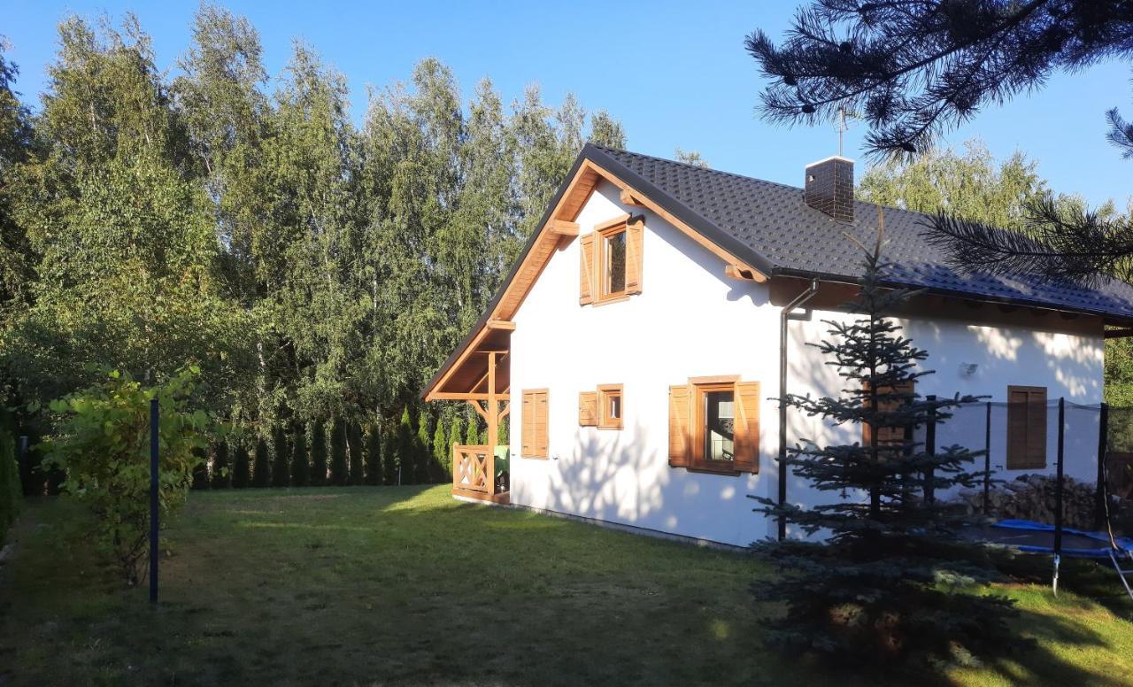 Domek Caloroczny Nad Jeziorem Budzislawskim, Wielkopolska Na Wynajem Anastazewo Buitenkant foto