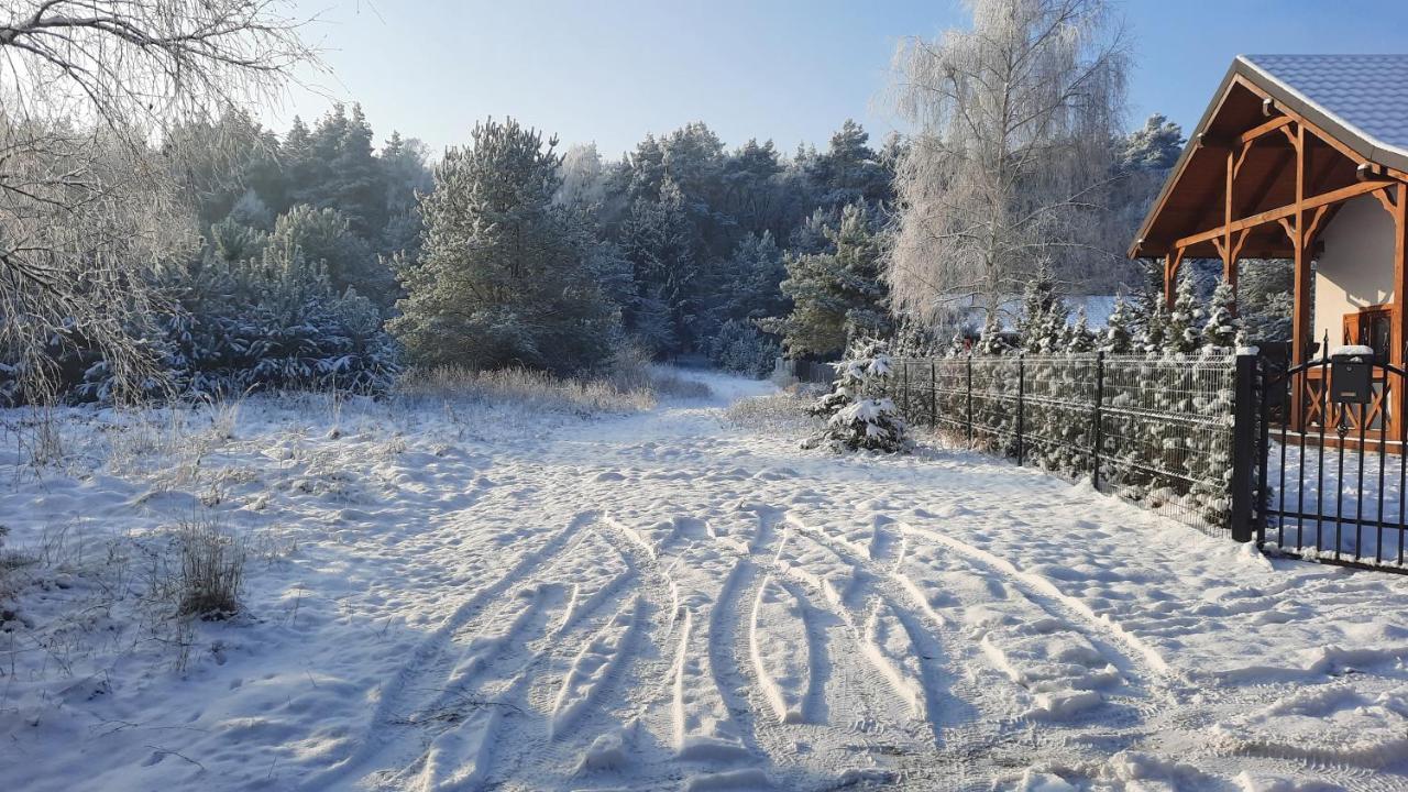 Domek Caloroczny Nad Jeziorem Budzislawskim, Wielkopolska Na Wynajem Anastazewo Buitenkant foto