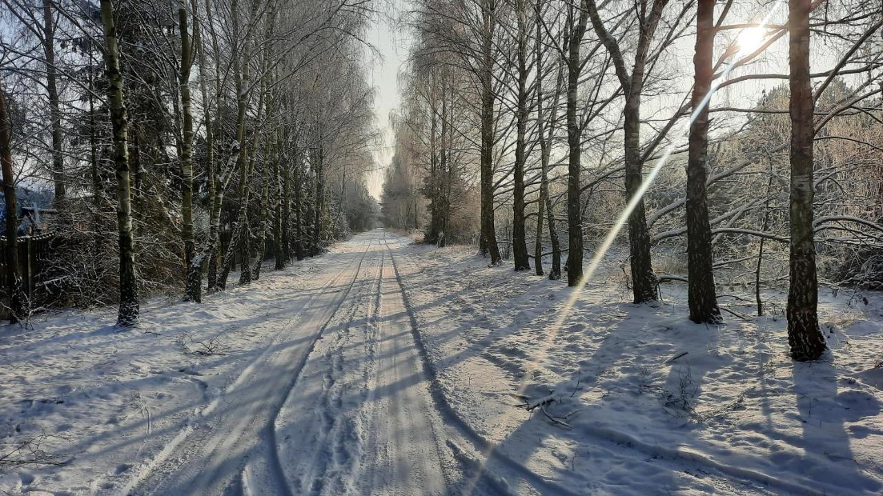 Domek Caloroczny Nad Jeziorem Budzislawskim, Wielkopolska Na Wynajem Anastazewo Buitenkant foto