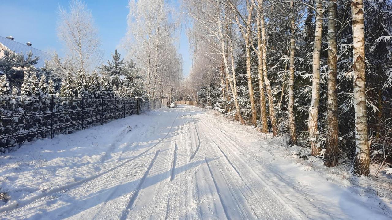 Domek Caloroczny Nad Jeziorem Budzislawskim, Wielkopolska Na Wynajem Anastazewo Buitenkant foto